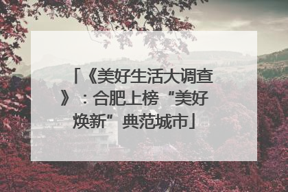《美好生活大调查》：合肥上榜“美好焕新”典范城市