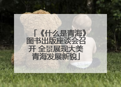 《什么是青海》图书出版座谈会召开 全景展现大美青海发展新貌