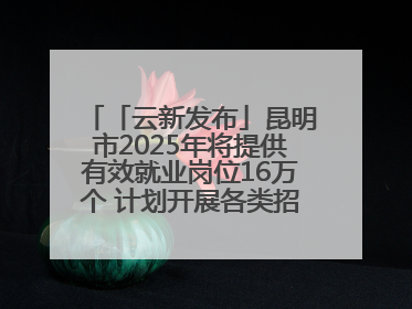 「云新发布」昆明市2025年将提供有效就业岗位16万个 计划开展各类招聘会200余场次
