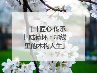 「匠心·传承」陆德怀：墨线里的木构人生