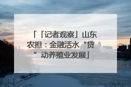 「记者观察」山东农担：金融活水“贷”动养殖业发展