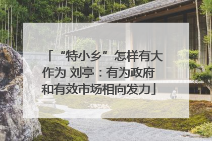 “特小乡”怎样有大作为 刘亭：有为政府和有效市场相向发力