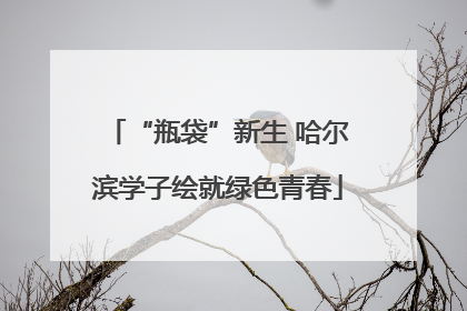 “瓶袋”新生 哈尔滨学子绘就绿色青春