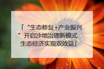 “生态修复+产业振兴”开启沙地治理新模式 生态经济实现双效益