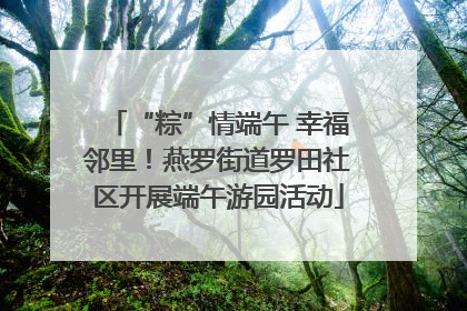“粽”情端午 幸福邻里！燕罗街道罗田社区开展端午游园活动