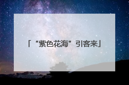“紫色花海”引客来