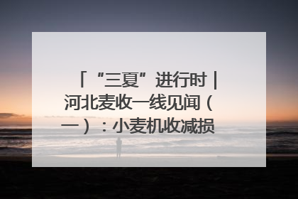 “三夏”进行时｜河北麦收一线见闻（一）：小麦机收减损“竞技” 农机高手麦田“过招”