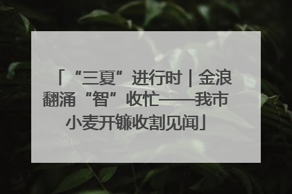 “三夏”进行时｜金浪翻涌“智”收忙——我市小麦开镰收割见闻