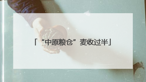 “中原粮仓”麦收过半