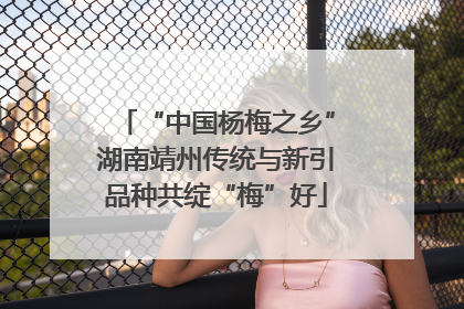 “中国杨梅之乡”湖南靖州传统与新引品种共绽“梅”好