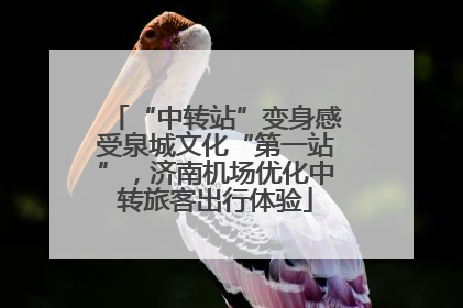 “中转站”变身感受泉城文化“第一站”，济南机场优化中转旅客出行体验