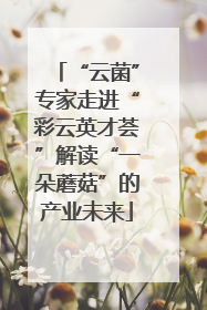 “云菌”专家走进“彩云英才荟”解读“一朵蘑菇”的产业未来