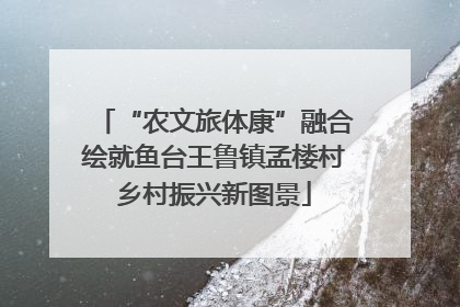 “农文旅体康”融合绘就鱼台王鲁镇孟楼村乡村振兴新图景