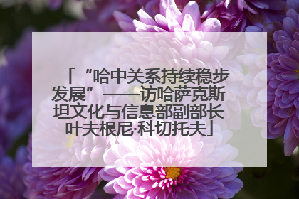 “哈中关系持续稳步发展”——访哈萨克斯坦文化与信息部副部长叶夫根尼·科切托夫