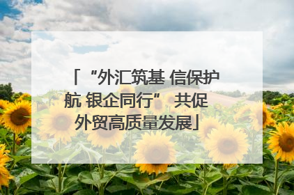 “外汇筑基 信保护航 银企同行” 共促外贸高质量发展