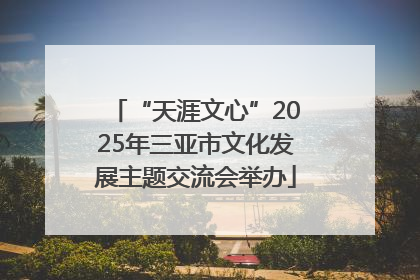 “天涯文心”2025年三亚市文化发展主题交流会举办