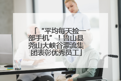 “平均每天捡一部手机”！鲁山县尧山大峡谷漂流集团表彰优秀员工