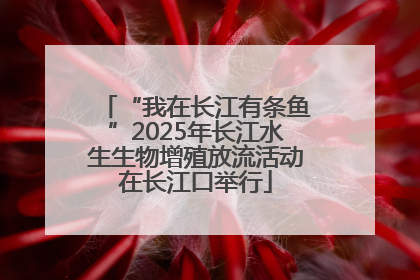 “我在长江有条鱼”2025年长江水生生物增殖放流活动在长江口举行