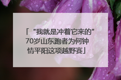 “我就是冲着它来的” 70岁山东跑者为何钟情平阳这项越野赛