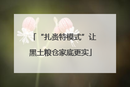 “扎赉特模式”让黑土粮仓家底更实