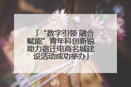 “数字引领 融合赋能”青年科创新锐助力宿迁电商名城建设活动成功举办