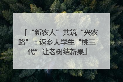 “新农人”共筑“兴农路”：返乡大学生“桃三代”让老树结新果