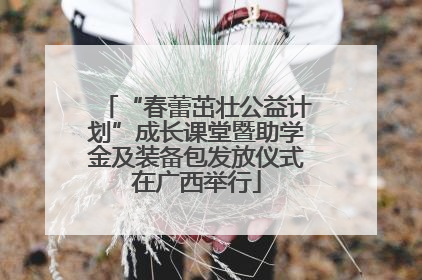 “春蕾茁壮公益计划”成长课堂暨助学金及装备包发放仪式在广西举行