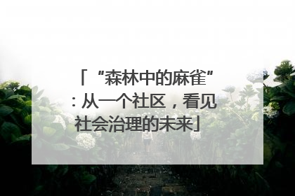 “森林中的麻雀”：从一个社区，看见社会治理的未来