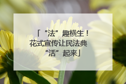 “法”趣横生！花式宣传让民法典“活”起来
