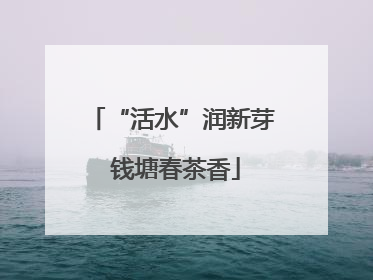 “活水”润新芽 钱塘春茶香
