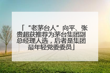 “老茅台人”向平、张贵超获推荐为茅台集团副总经理人选，后者是集团最年轻党委委员