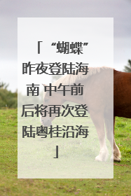 “蝴蝶”昨夜登陆海南 中午前后将再次登陆粤桂沿海
