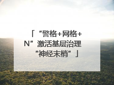 “警格+网格+N”激活基层治理“神经末梢”