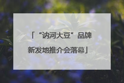 “讷河大豆”品牌新发地推介会落幕