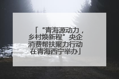 “青海源动力，乡村焕新程”央企消费帮扶聚力行动在青海西宁举办