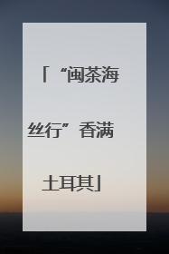 “闽茶海丝行”香满土耳其