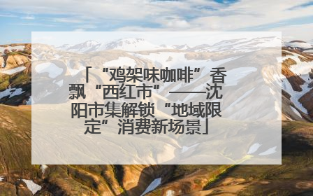 “鸡架味咖啡”香飘“西红市”——沈阳市集解锁“地域限定”消费新场景