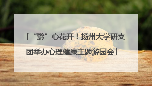“黔”心花开！扬州大学研支团举办心理健康主题游园会