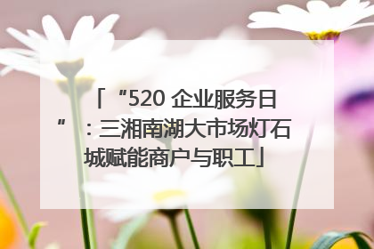 “520 企业服务日”：三湘南湖大市场灯石城赋能商户与职工