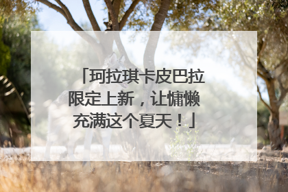 珂拉琪卡皮巴拉限定上新，让慵懒充满这个夏天！