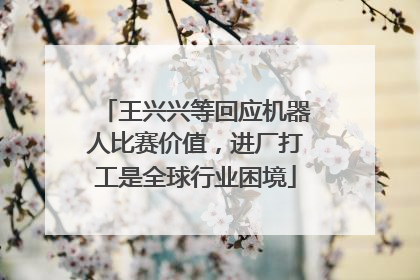 王兴兴等回应机器人比赛价值，进厂打工是全球行业困境