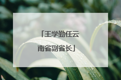 王学勤任云南省副省长