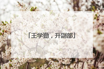 王学勤，升副部