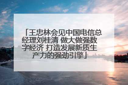 王忠林会见中国电信总经理刘桂清 做大做强数字经济 打造发展新质生产力的强劲引擎