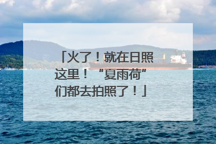 火了！就在日照这里！“夏雨荷”们都去拍照了！