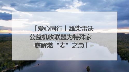 爱心同行丨潍柴雷沃公益机收联盟为特殊家庭解燃“麦”之急