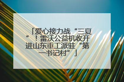 爱心接力战“三夏”！雷沃公益机收开进山东重工派驻“第一书记村”