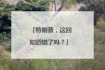 特朗普，这回知道错了吗？