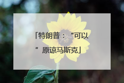 特朗普：“可以”原谅马斯克
