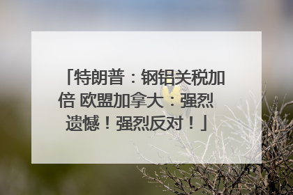特朗普：钢铝关税加倍 欧盟加拿大：强烈遗憾！强烈反对！